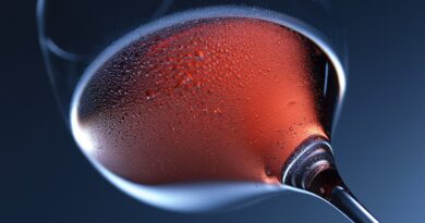 2. Kärntner Winzerfest in Klagenfurt