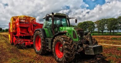 Um heimischen Bäuerinnen und Bauern unter die Arme zu greifen, wird das Bundesagrarbudget um 130 Millionen Euro aufgestockt. Auch Kärnten wird von mehr Geld für die Landwirtschaft profitieren