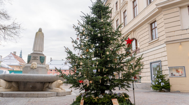 Auch heuer steht der Baum der Erinnerung wieder am Dr.-Arthur-Lemisch-Platz in der Klagenfurter Innenstadt. Ein ergreifendes Projekt, welches vom Verein Wandelstern ins Leben gerufen wurde