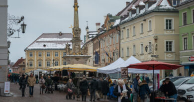 Nächsten Montag (15.01.) und Dienstag (16.01) findet am St. Veiter Hauptplatz der "Kalte Markt" statt