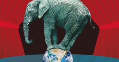 The Turquoise Elephant in den Kammerlichtspielen Klagenfurt