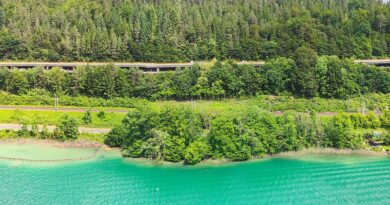 Bundesforste kaufen Naturufergrundstück am Wörthersee