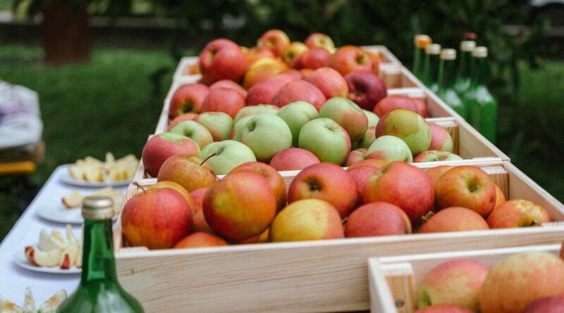 Am 4. Oktober wird das Dinzlschloss in Villach zum Zentrum für alte Obstsorten.