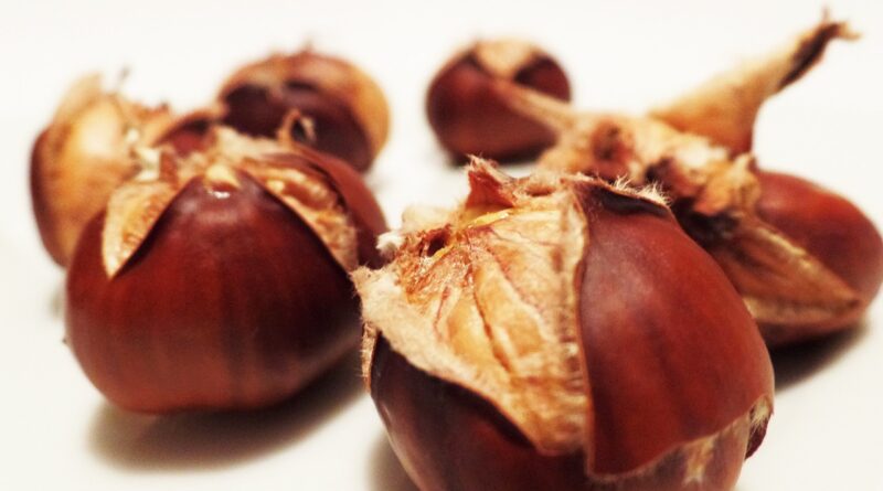 Sturm und Maroni im Historama Ferlach