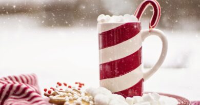 Seniorenreferat Klagenfurt: Weihnachtsfeier für Senioren