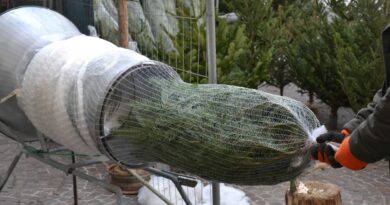Villacher Christbaummarkt beginnt am 15. Dezember
