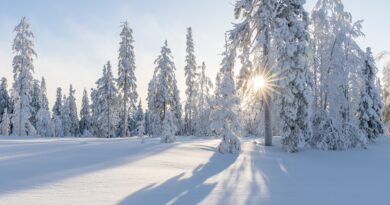 Frohe Weihnachten: Wir wünschen allen Leserinnen und Lesern des Kärntenportals ein schönes Weihnachtsfest und erholsame Feiertage
