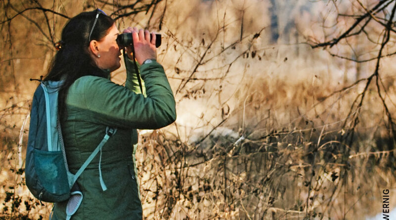 Vogelbeobachtung. In den Naturräumen am Ossiacher See kann man bei der Vogelbeobachtung interessante Einblicke gewinnen.