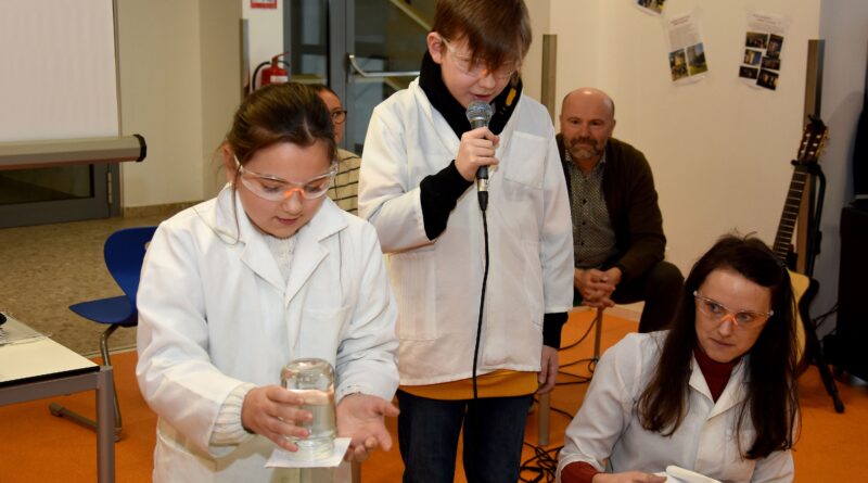 Talenteförderung in der Volksschule Bildungswerk Wolfsberg