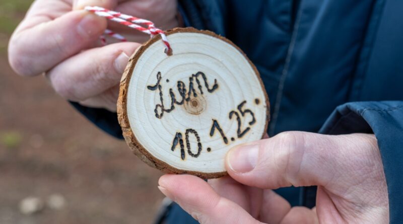 Klimabäume, St. Veit/Glan