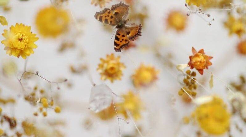 Licht.impuls Galerie Porcia