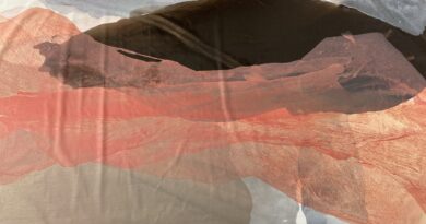 Lisa Waldner, Farbe im Fluss