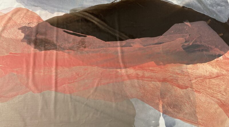 Lisa Waldner, Farbe im Fluss