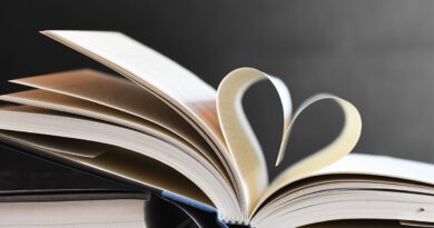 Literaturstipendium Villach