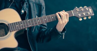 Konzert am 20., Norbert Artner Musikschule