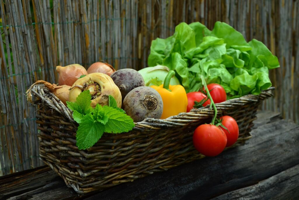 Slow Food 4-Jahreszeiten-Märkte Nötsch