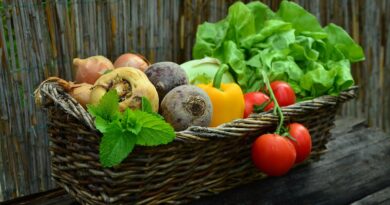 Slow Food 4-Jahreszeiten-Märkte Nötsch