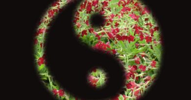 Natürlich gesund mit TCM, FNL Kräuterakademie
