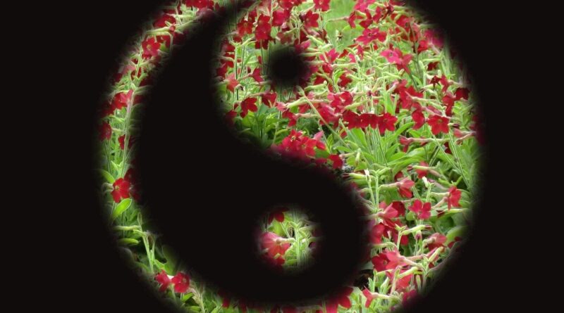 Natürlich gesund mit TCM, FNL Kräuterakademie