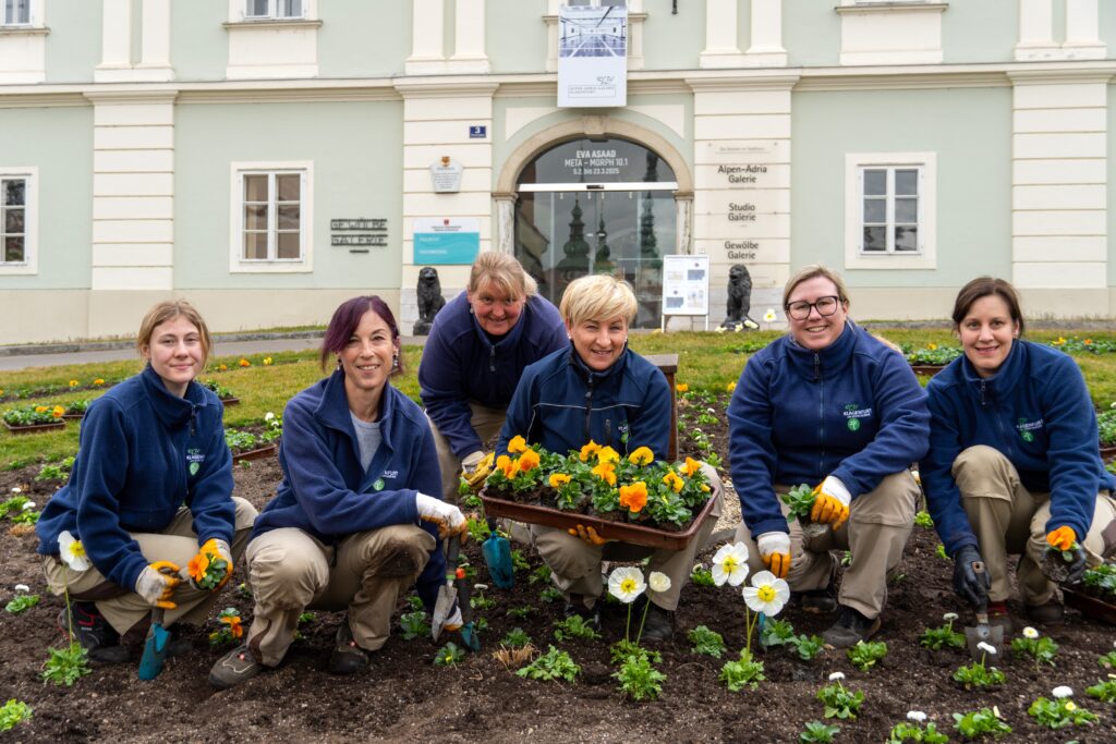 Das 6-köpfige Team der Abteilung Stadtgarten startet mit der Bepflanzung der Frühlingsblüher.