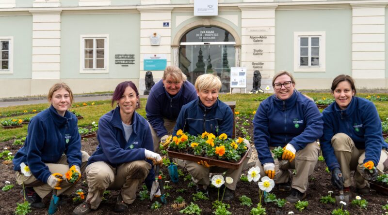 Das 6-köpfige Team der Abteilung Stadtgarten startet mit der Bepflanzung der Frühlingsblüher.
