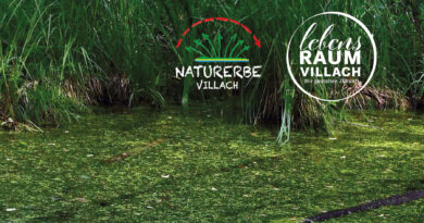 Naturerbe Villach - lebensRaum
