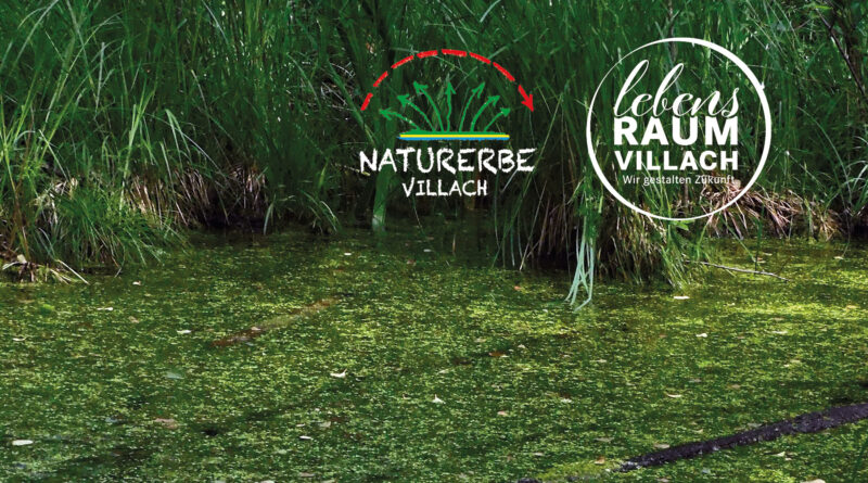 Naturerbe Villach - lebensRaum