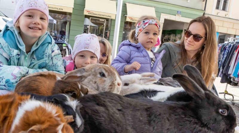 Ostermärkte - St.Veit an der Glan