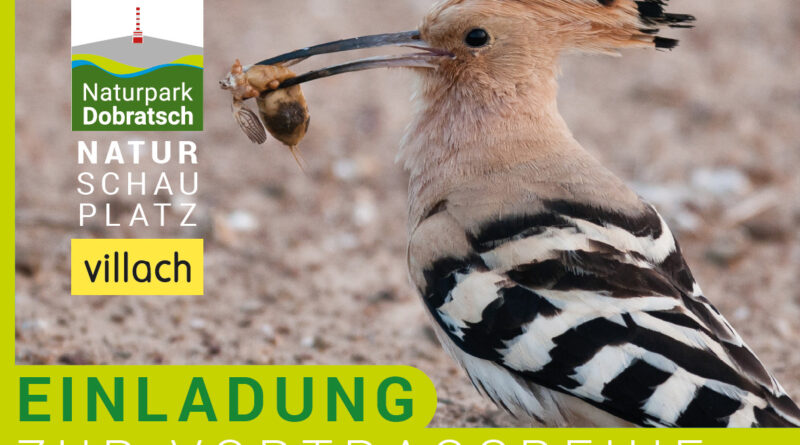 Vögel in Not - Paracelsussaal