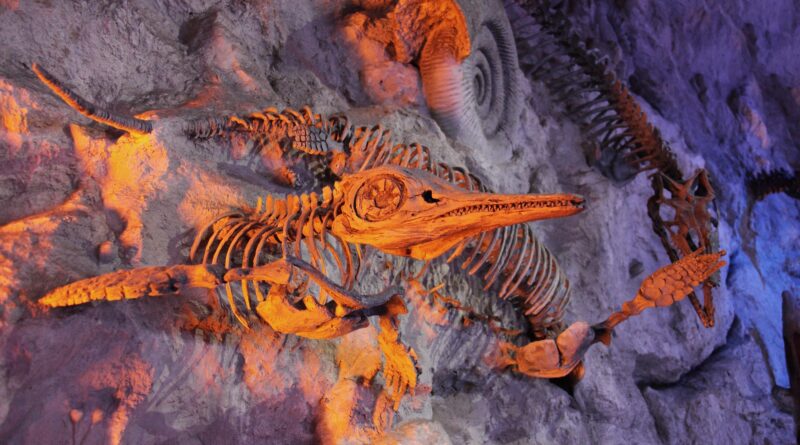 Die Lavanttaler haben einen Vogel - Museum im Lavanthaus