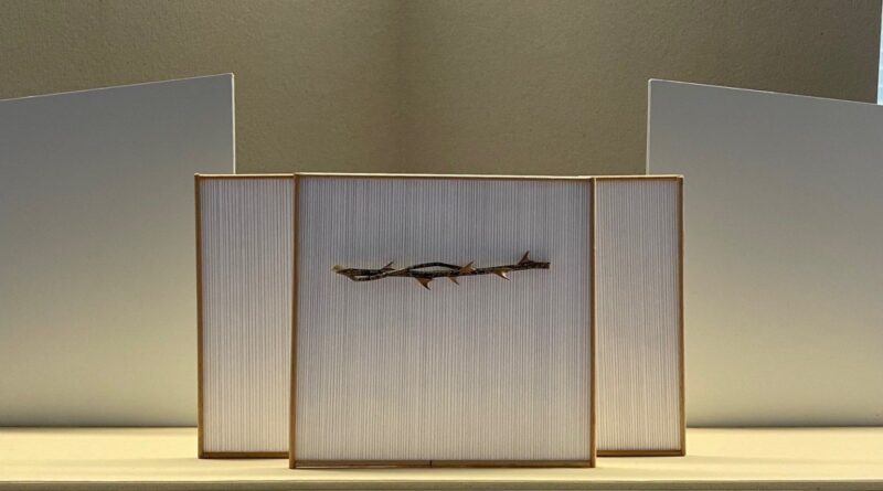 Brandy Brandstätter - Fadenkreuz