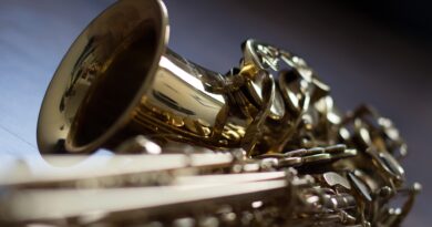 Chico Freeman s Exotic Trio