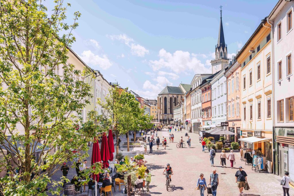 Neue Bäume braucht die Stadt - lebensRAUM Villach