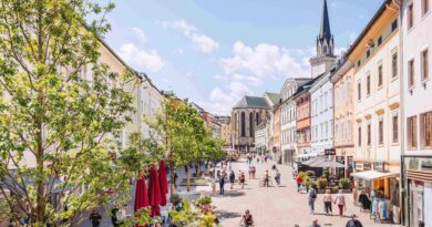 Neue Bäume braucht die Stadt - lebensRAUM Villach