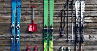 Gmündner Alpinski Stadt- und Vereinsmeisterschaften