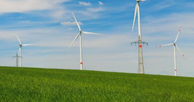 Energiewende-Nachhaltigkeit-Wohlstand