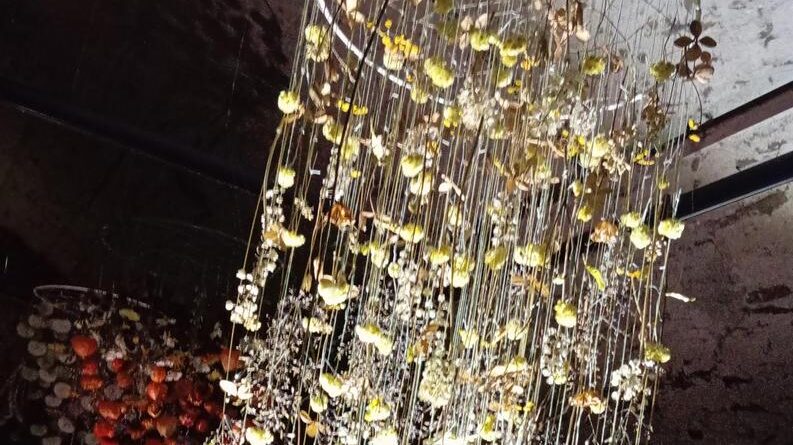 Der zeremonielle Mayakalender - Schloss Porcia