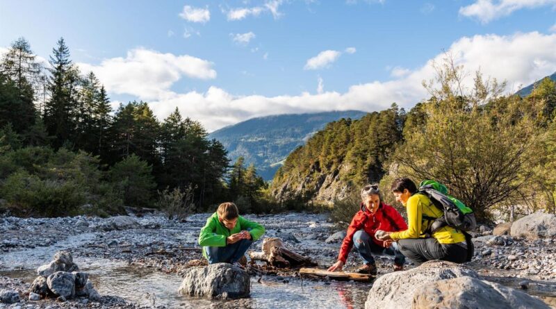 Fossiliensuche im Drautal