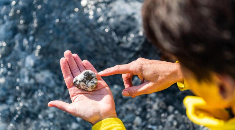 Fossiliensuche Ochsenschlucht