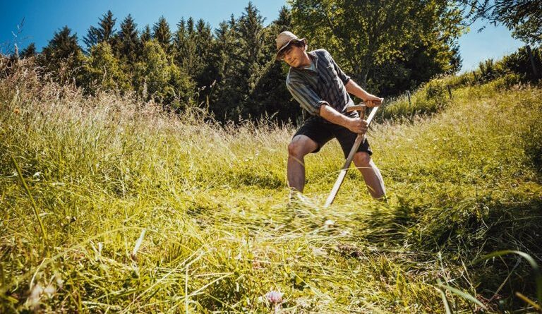 Sensenmähen und Dengeln