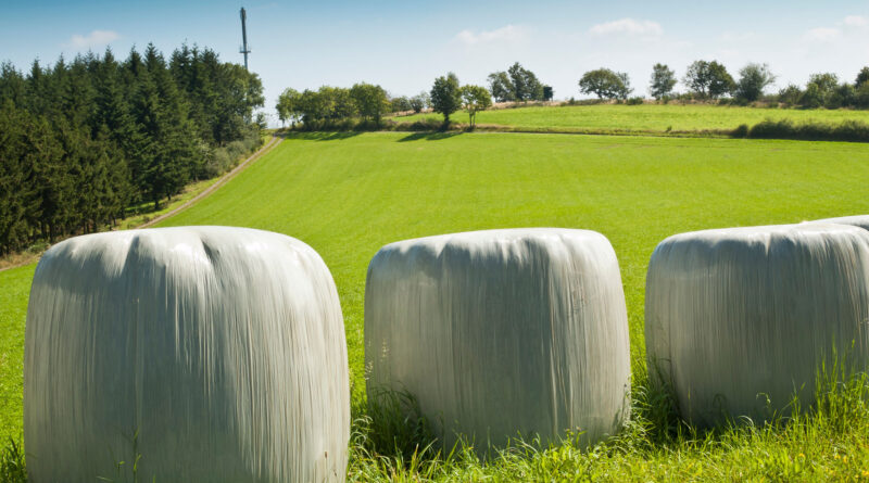 Siloballenfolie - gratis Annahme