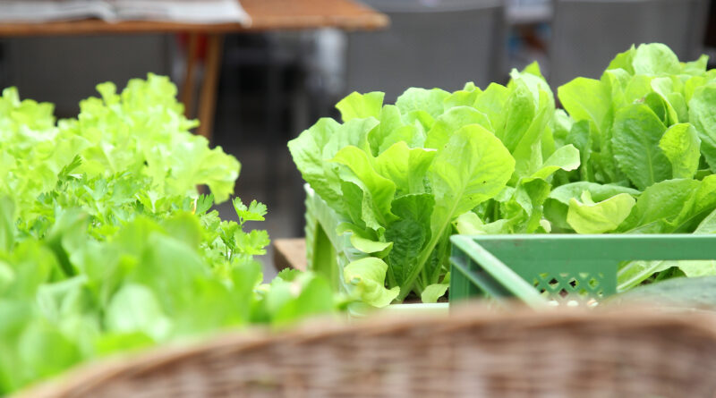 Biobauernmarkt - Villach
