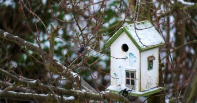 Immobilienpreisspiegel - Wohnen in Kärnten