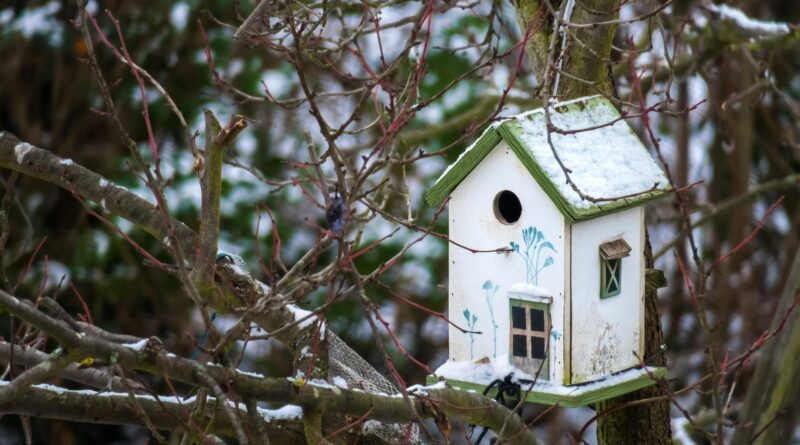 Immobilienpreisspiegel - Wohnen in Kärnten