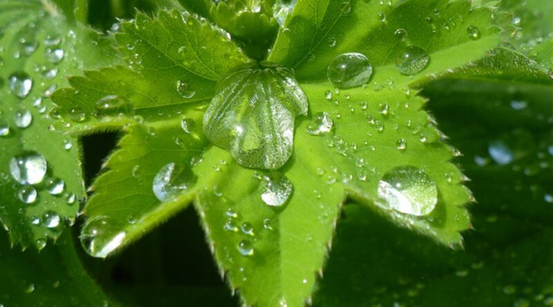 Wasserschloss Dobratsch