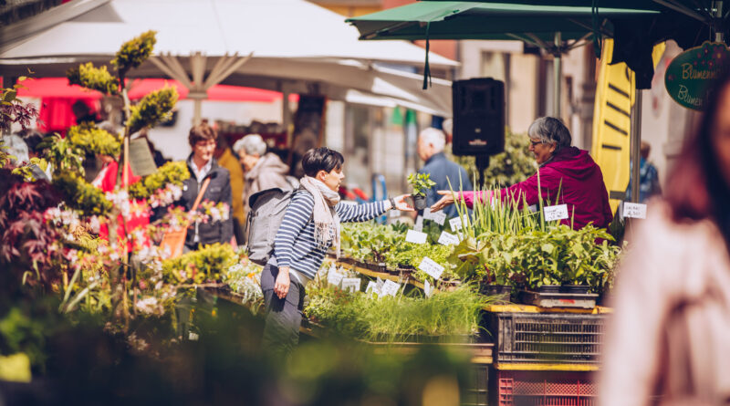 Blumenmarkt Villach