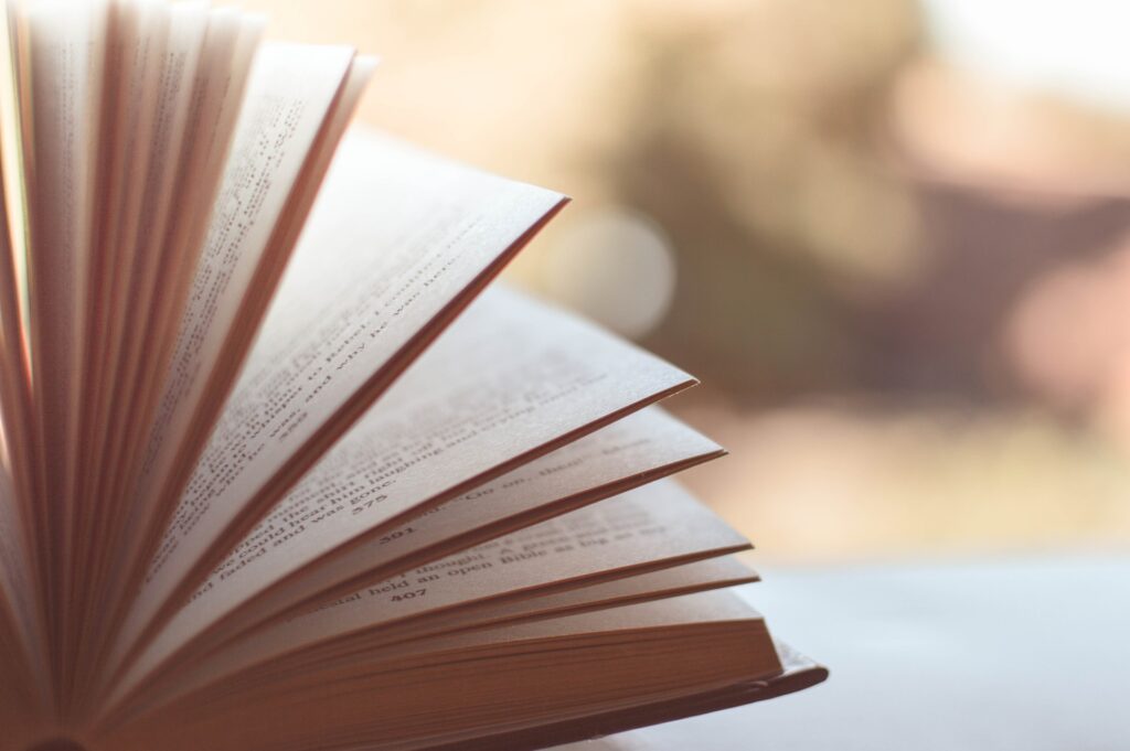 Literatur der Nachbarn - Musilhaus