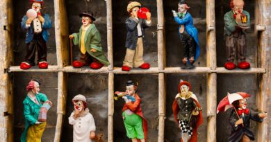 Clown Lotte und ihr Bücherzirkus