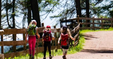 Familienwanderung Taborhöhe
