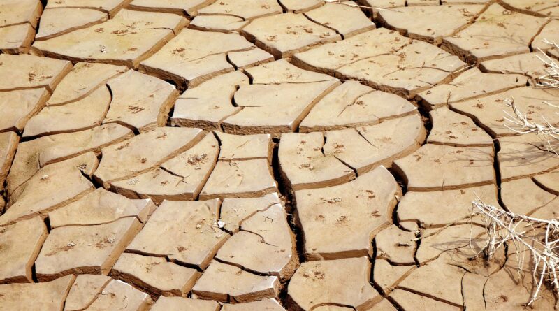 Klimawandel - welcher Klimawandel?